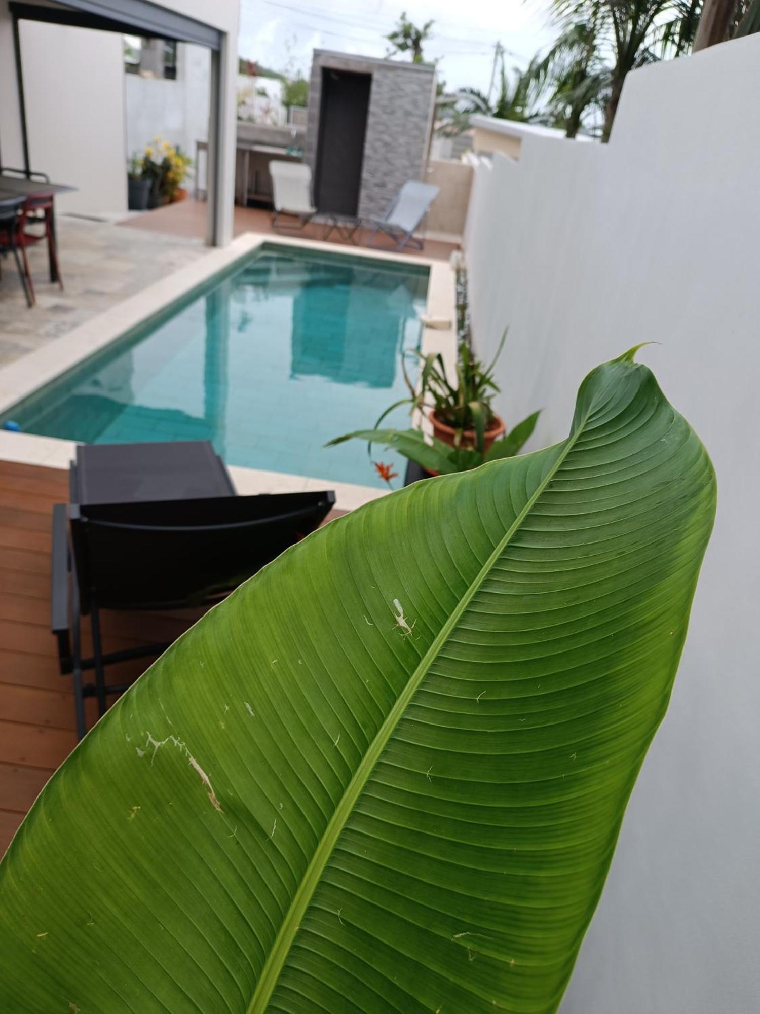 Villa O'Lhaya Piscine Pivee Saint-Joseph Exteriör bild
