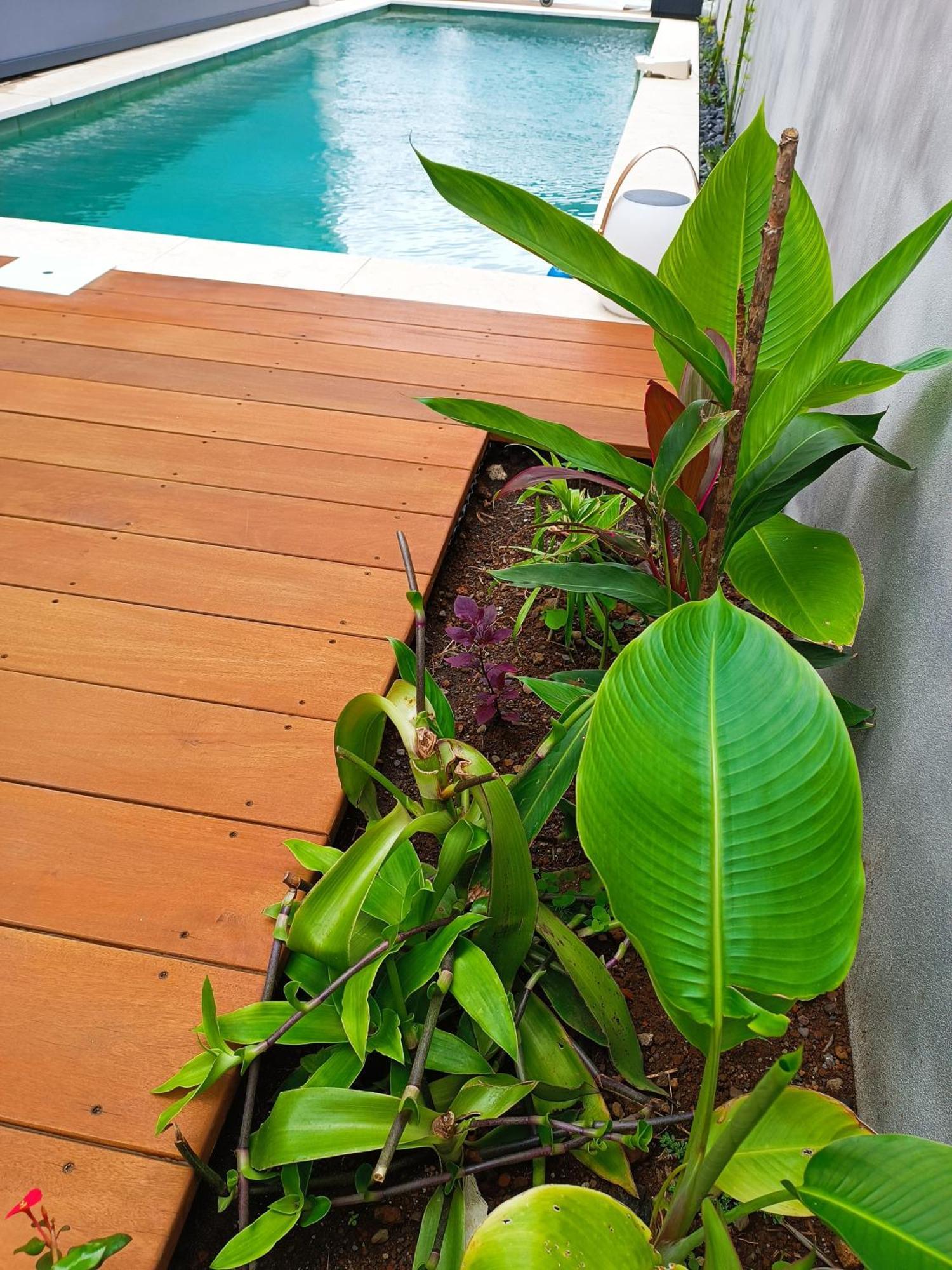Villa O'Lhaya Piscine Pivee Saint-Joseph Exteriör bild
